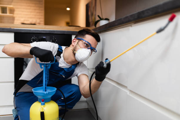 Best Mosquito Control Services  in Shingletown, CA