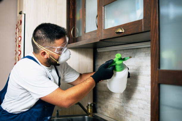 Flea Control Services in Shingletown, CA
