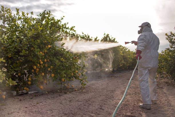 Pest Control for Restaurants in Shingletown, CA