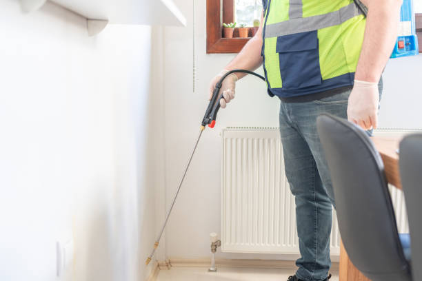 Wasp Removal Services in Shingletown, CA