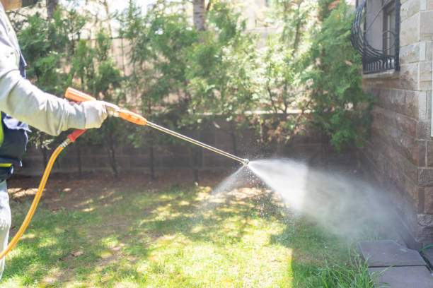 Best Exterminator Services  in Shingletown, CA