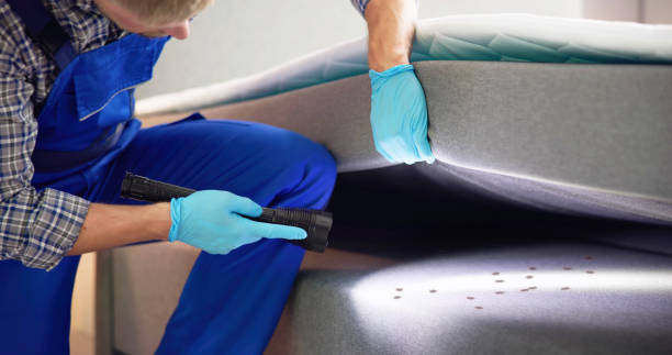 Best Cockroach Control Services  in Shingletown, CA