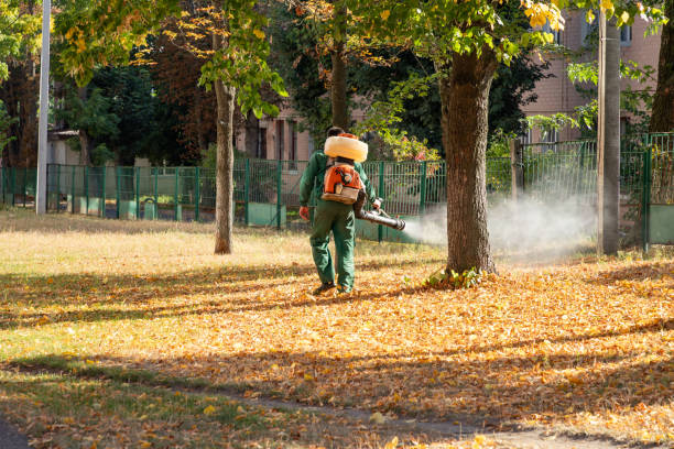 Best Residential Pest Control  in Shingletown, CA